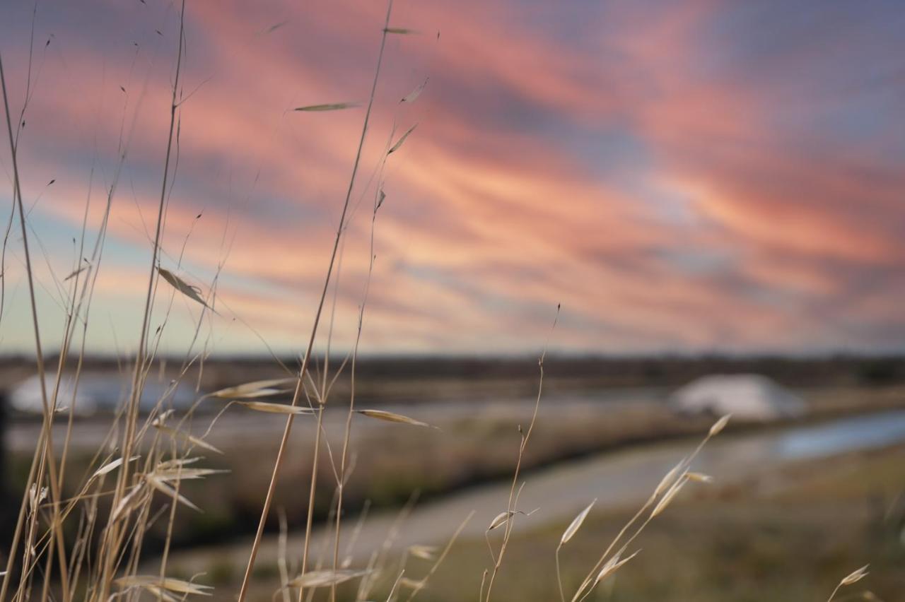 Le Parc Des Mimosas Villa Noirmoutier-en-l'Ile Bagian luar foto