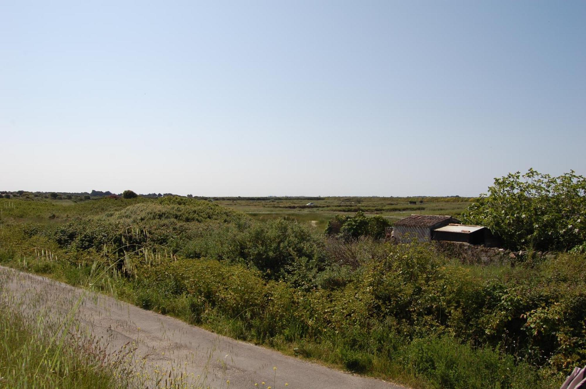 Le Parc Des Mimosas Villa Noirmoutier-en-l'Ile Bagian luar foto